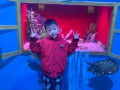 -乌鲁木齐海洋馆