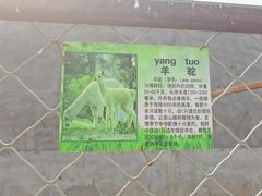 -河北村民俗体验园