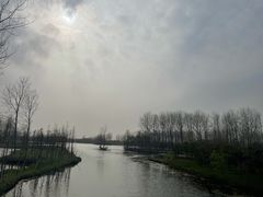 -溱湖国家湿地公园