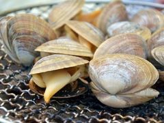 -泰白海鲜烧烤大全