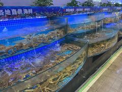 -驻海渔市(置信店)