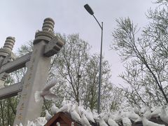 -天津妈祖文化园