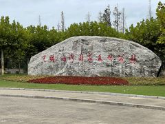 -上海海湾国家森林公园