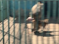 -秦皇岛野生动物园