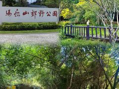 -马峦山郊野公园
