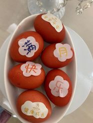 -维倪月子会所(独栋庭院·南海店)