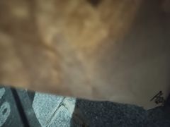 -必胜客(漕宝路店)