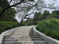 -杭州少年儿童公园