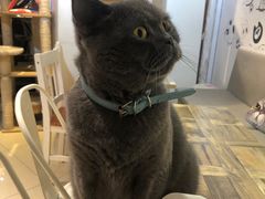 -小时光咖啡馆(开森度假森林店)
