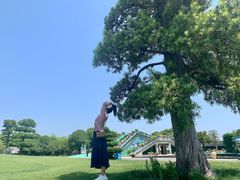 -南通洲际绿博园