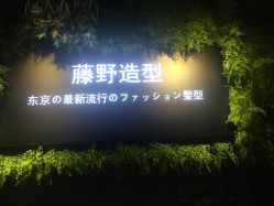 点击看大图 -藤野造型