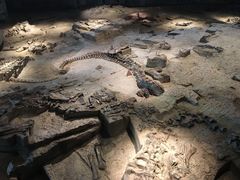 -自贡恐龙博物馆