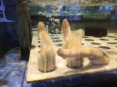 -海天一色海景自助餐厅(西港花园店)