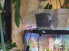 -Rabbit Cafe私房西餐甜点咖啡(栖霞路店)