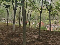 -红旗渠纪念馆