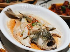 清蒸鲈鱼-青梅酒肆PLUS(长白仙岛北路店)