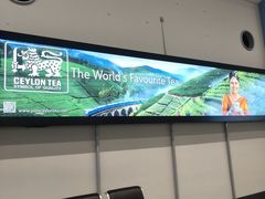 -班达拉奈克国际机场