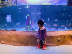 -沈阳海洋探索中心