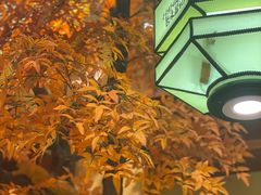 -聚味瞿记·龙虾堂(渔人码头一店)