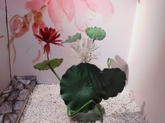 -成都梵高星空艺术馆(春熙路旗舰店)