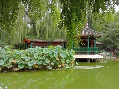 -宣武艺园