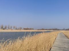 -野鸭湖国家湿地公园