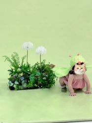-马克叔叔的照相馆(东门店)