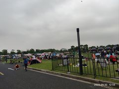 -春花秋色城市公园