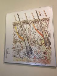 -史云逊养发护发