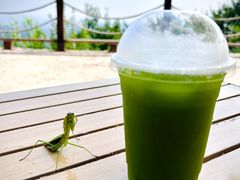 -沈阳辉山风景区