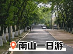 -南山植物园