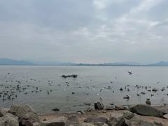 -深圳湾公园(南山区)