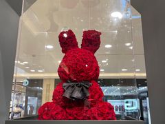 -ROSEONLY诺誓(国际广场购物中心店)