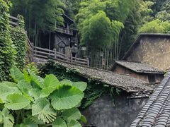 -三峡人家风景区