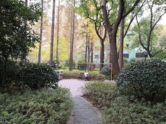 -徐家汇源景区-衡山公园