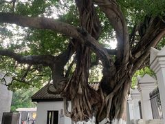 -黄埔军校旧址纪念馆