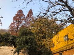 -宝通禅寺