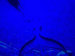 -南戴河国际娱乐中心