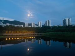 -同禧荟·港味海鲜火锅·粤菜(三亚湾店)
