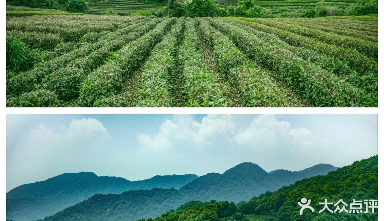 杭州｜端午出游🍃“画外端午”艺术与民俗碰撞
