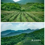 杭州｜端午出游🍃“画外端午”艺术与民俗碰撞