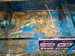 -老宁波1381餐厅(宏泰广场店)