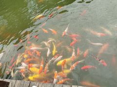 -万佛湖风景区