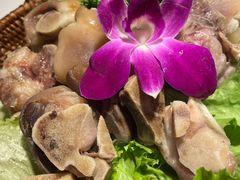 -椰子湾·海南火锅·糟粕醋·椰子鸡(正大广场店)