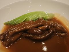 -广州富力君悦大酒店空中花园