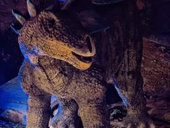 -寻龙山风景旅游区