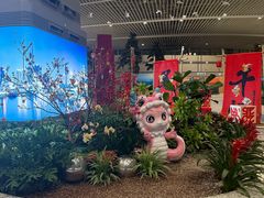 -青岛胶东国际机场