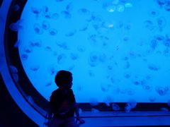 -沈阳海洋探索中心