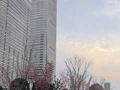 -木塔寺遗址生态公园