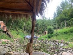 -沈阳森林动物园